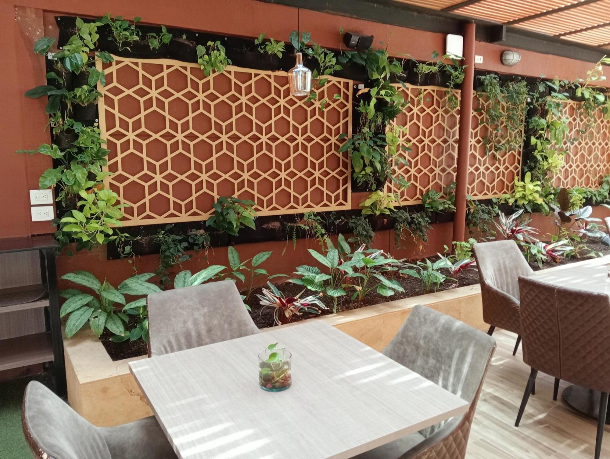 Hotel Lomas 10 Medellin By Dico Ngoại thất bức ảnh
