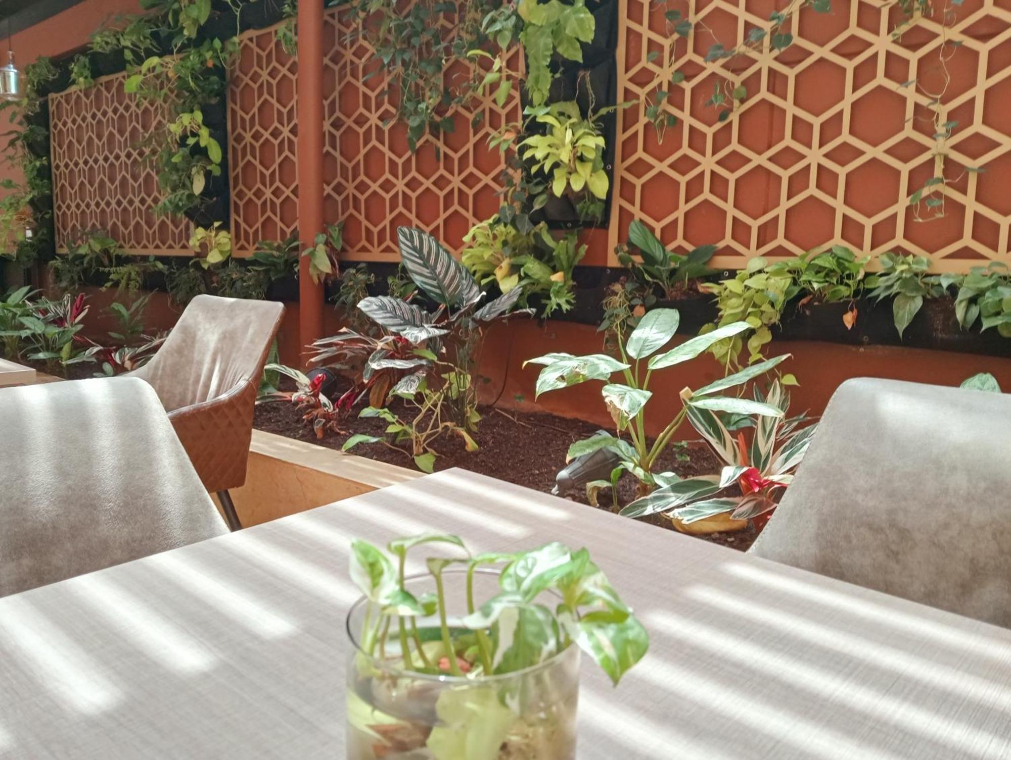Hotel Lomas 10 Medellin By Dico Ngoại thất bức ảnh